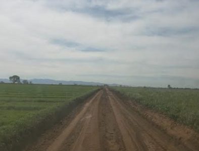 Continúa rehabilitación de caminos rurales del municipio de Poanas