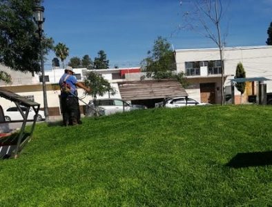 Continúa mantenimiento a plazas y jardines de Peñón Blanco