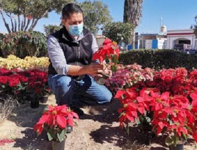 En marcha, trabajos de embellecimiento navideño en Vicente Guerrero