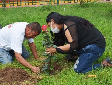 Continúa reforestación de áreas verdes en el municipio de Poanas