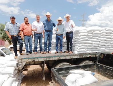 Con semilla de frijol para 15 municipios, Gobierno de Esteban le cumple a campesinos