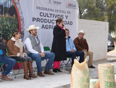 Inicia segunda etapa de entrega de semilla de avena en Poanas