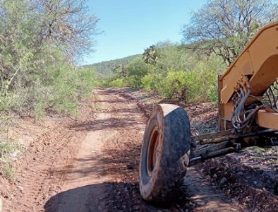 Facilitan trabajo de los agricultores de Poanas con mantenimiento a caminos sacacosechas