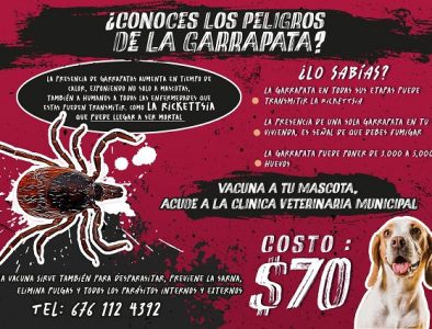 Invitan en Guadalupe Victoria a vacunar contra las garrapatas a las mascotas