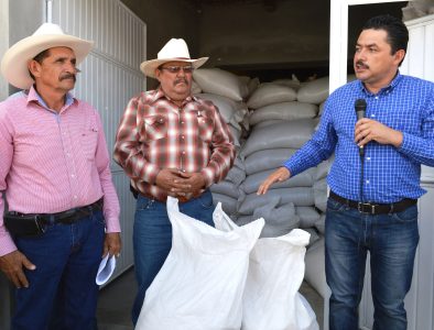 Entrega Nuevo Ideal semilla de avena a campesinos afectados por las lluvias