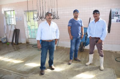Garantiza Poanas higiene en rastro municipal; pide seriedad en información