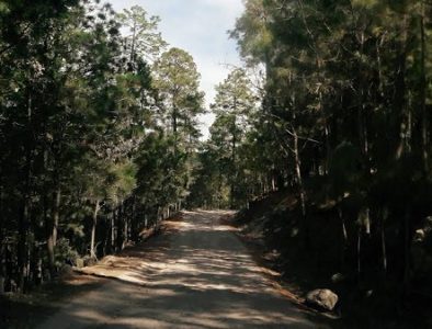 Apoya SRNyMA con rehabilitación de caminos rurales