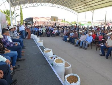 Inicia entrega del Seguro Catastrófico