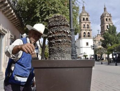 Secope da mantenimiento urbano a Corredor Constitución