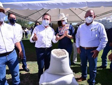 Aispuro entrega 50 toneladas de semilla de frijol en Vicente Guerrero y Nombre de Dios