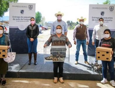 Salum impulsa la economía de las familias rurales
