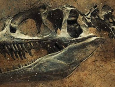 Hallan en México una nueva especie de dinosaurio