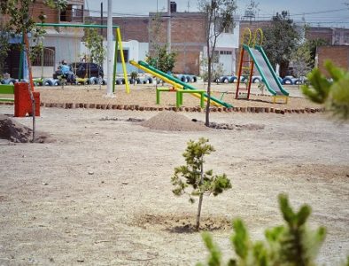 Es Durango cada día una casa más limpia, bonita y sustentable: Toño Ochoa
