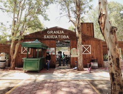 Con mejores espacios, cuidan a los animales en el Zoológico Sahuatoba