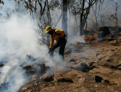 Conafor reporta 147 incendios forestales en 24 estados de la República Mexicana