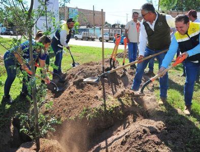 Respira Durango con más microbosques urbanos