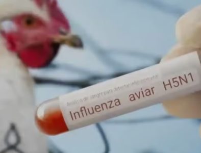Murió niña de Gómez Palacio contagiada con influenza aviar A (H5N1)