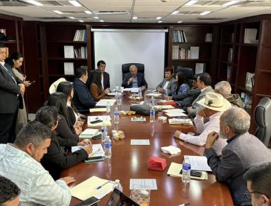 Mezquital presenta anteproyectos municipales ante el INAFED