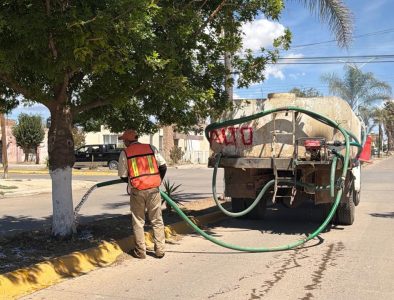 Mantienen trabajos de servicios públicos durante periodo vacacional en Guadalupe Victoria