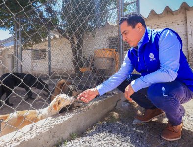 Fortalece Toño Ochoa atención veterinaria y bienestar animal en Durango