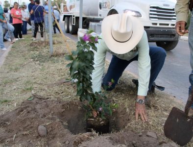 Realizan jornada de limpieza y plantación de árboles en Mezquital